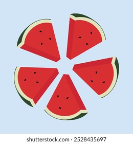 Watermelon slices in radial pattern. Vector illustration of red watermelon isolated on white background, vector illustration on white background.