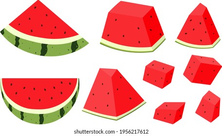 Watermelon slices summer fruit vector illustration