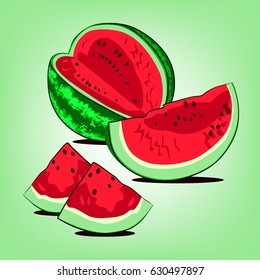 Watermelon with slices. Vector illustration