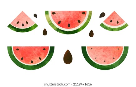 watermelon  slices vector isolated illustration set
