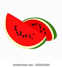 watermelon slices. vector on white background