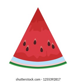 watermelon slide icon