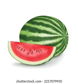 Watermelon succulent fruit drawing on white