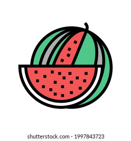 watermelon summer berry color icon vector. watermelon summer berry sign. isolated symbol illustration