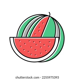 watermelon summer berry color icon vector. watermelon summer berry sign. isolated symbol illustration