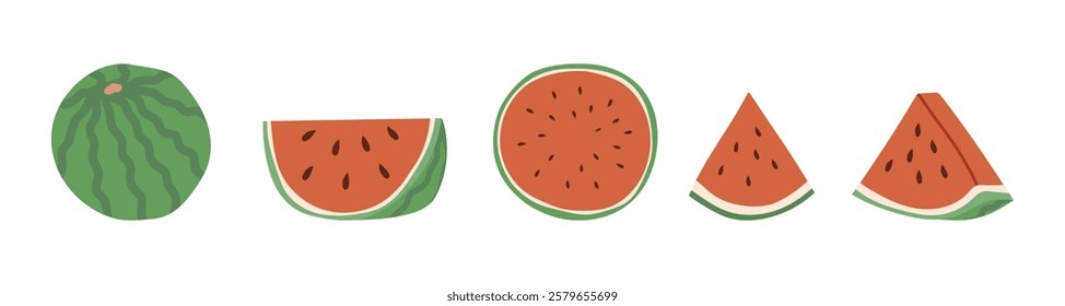 watermelon. sweet and ripe watermelon. a fresh cocktail. slices of juicy fruit. freshly squeezed juice. vector. fruit. vitamins.