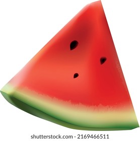 Watermelon in the technique of realism (vector graphics)