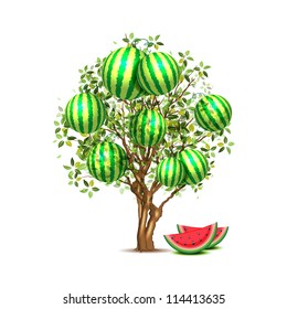 Watermelon tree, vector illustration, eps10