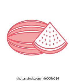 watermelon tropical and exotic fruit