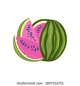 Watermelon. Tropical fruit and graphic design elements. Ingredients color cliparts. Sketch style smoothie or juice ingredients.