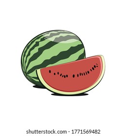 Watermelon tropical fruit vector illustration