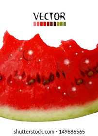 water-melon. Vector