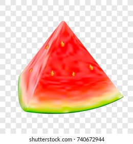watermelon vector