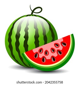 Watermelon vector cartoon isolated on white background, water melon vector flat illustration