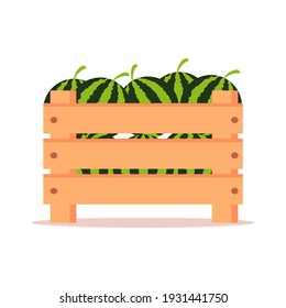 Watermelon vector. Fresh fruit vector icon
