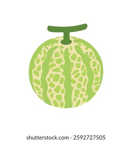 Watermelon vector. Fresh and trendy design of watermelon on white background. 