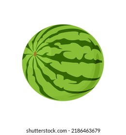 Watermelon vector icon. Cartoon flat illustration of fresh sweet fruit.