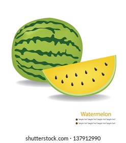 Watermelon vector illustration