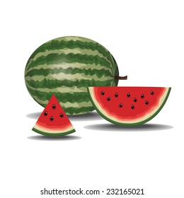 watermelon vector illustration