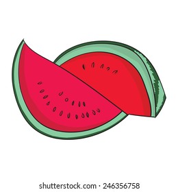 Watermelon vector illustration