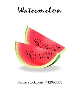 Watermelon vector illustration