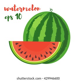 Watermelon vector illustration. 