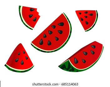 Watermelon Vector Illustration.