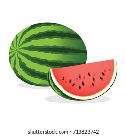 Watermelon. Vector illustration.