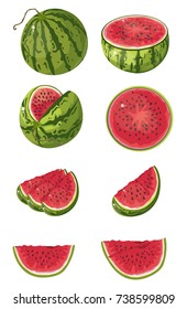 watermelon vector illustration