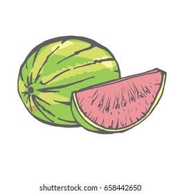 Watermelon vector. Illustration. Cartoon style
