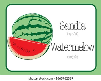 Ilustración vectorial de sandía. Diseño de sandía-sandía.