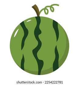 watermelon vector illustration design element