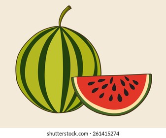 Watermelon, vector Illustration. Exotic fruit. Hand-drawn style.