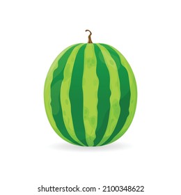 Watermelon vector illustration in flat design isolated on white background.