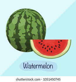 Watermelon vector illustration, fruit design concept 