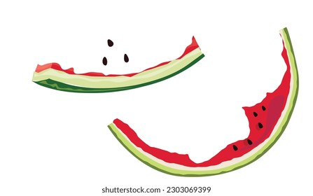 
Watermelon vector illustration. Half eaten watermelon slices. Watermelon rind. Summer fruit theme and concept. Flat vector in cartoon style.
