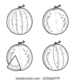 Watermelon Vector Illustration Hand Drawn Fruit Cartoon Art