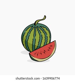 Watermelon vector illustration isolated, for all purposes