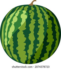 Watermelon - vector illustration isolated on white background
