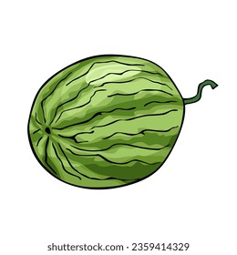 Ilustración vectorial de la sandía aislada en fondo blanco