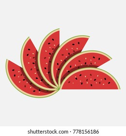 Watermelon vector illustration isolated on white background