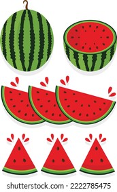 Watermelon vector illustration, Watermelon and juicy slices, Sliced cocktail water melon fruit vector set