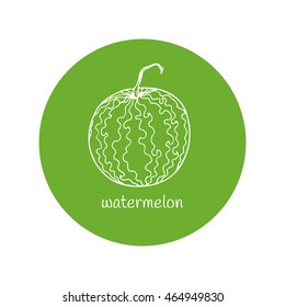 Watermelon vector illustration. Watermelon outline icon.