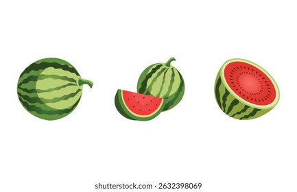 Watermelon vector illustration ,watermelon slice vector on white