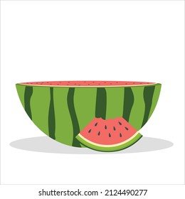 Watermelon vector illustration. watermelon slices
