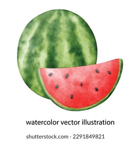 watermelon vector illustration, watercolor fruit, fruit