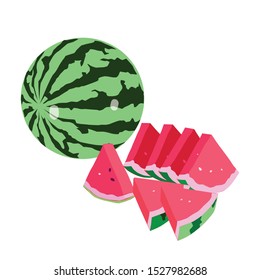 Watermelon. vector illustration. white background.

