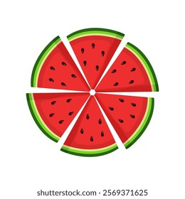 Watermelon Vector Image And Illustration On White Background