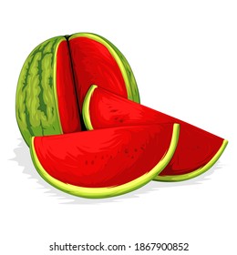 Watermelon Vector isolated on White Background
