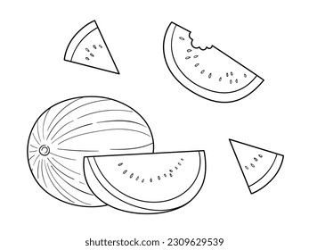 Watermelon vector line art illustration set, delicate black and white fruit drawing